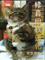 真修回归