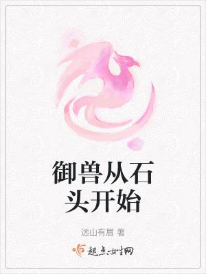 御兽从零分开始防盗