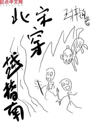 北宋穿越指南选书网