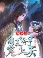 替嫁将军皇上结局