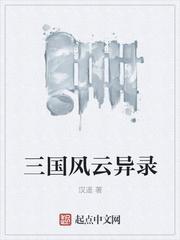 三国风云录攻略完整