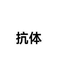 抗体ch