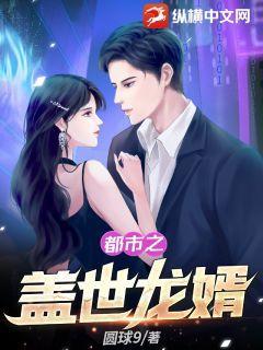 盖世龙婿后续