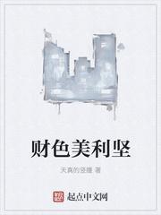 美利坚之财富人生免费阅读