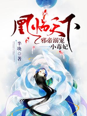 凤临天下 邪王的倾世宠妃