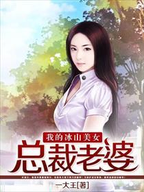 我的冰山美女总裁老婆 第14章