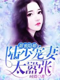 甜蜜婚令陆少医神妻全文免费阅读