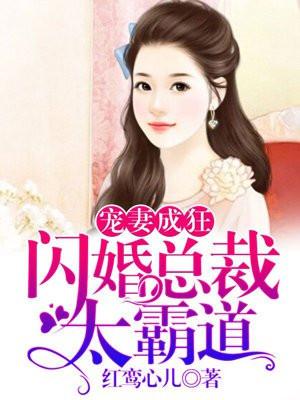 宠妻狂魔闪婚总裁太霸道