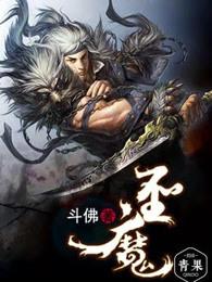 圣魔之光石美版金手指