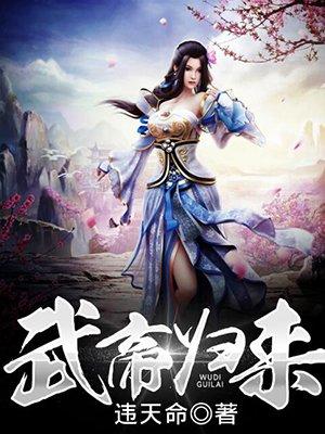 武帝归来主角龙阳的
