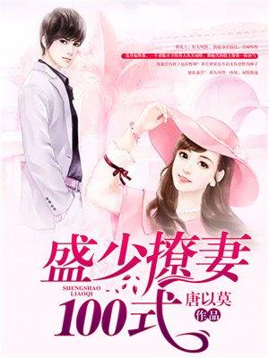 盛少宠妻100式简介