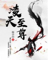 凌天至尊风凌天下