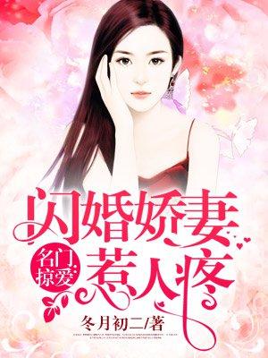 名门掠爱闪婚妻子惹人疼全文免费