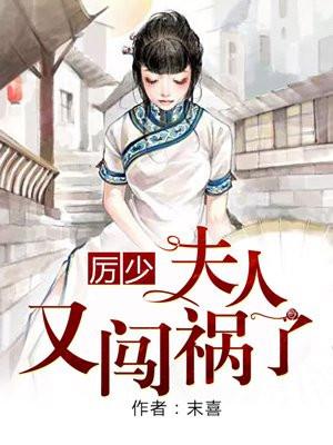 夫人又闯祸了