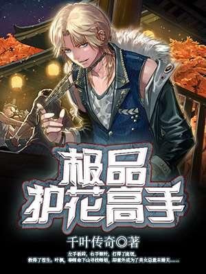 极品护花高手唐圣天