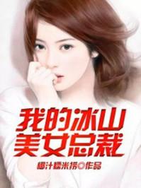 我的冰山美女总裁TXT免费