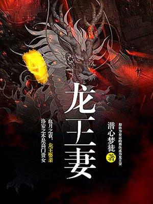 龙王妻TXT