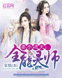 妻手遮天 全能灵师