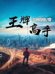 王牌高手txt免费