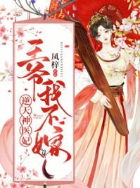 逆天神医妃 王爷我不嫁
