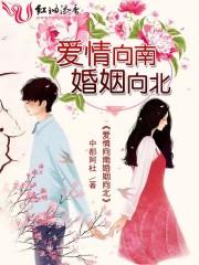 爱情向西婚姻向右全文免费阅读