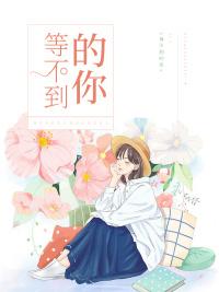 宫墨珏乔冷月冬风免费