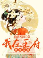 我在王府做直播