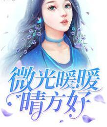 帝少的燃情宠妻宫凌夜宋伊人