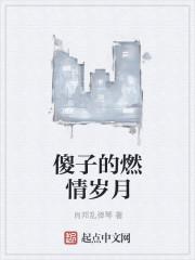 傻子的燃情岁月无防盗