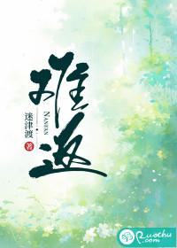 成语什么什么难返