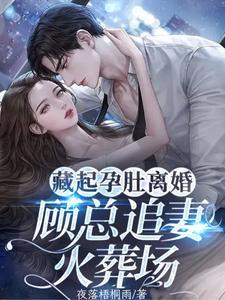 顾总追妻火葬场短视频