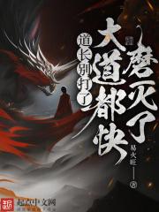 大道都快磨灭了听书