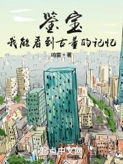 鉴宝我能看到古董的记忆TXT