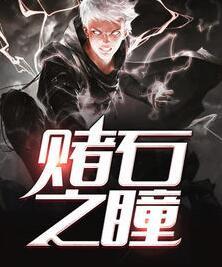 黄金瞳赌石