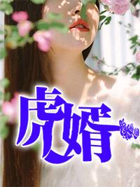 虎婿杨潇目录