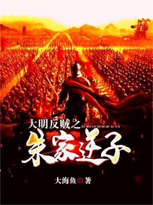 大明贼