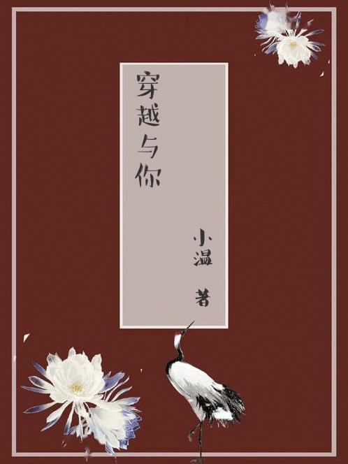 穿越时空与你相见