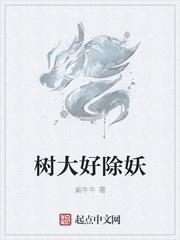 树大招风的意思是什么生肖