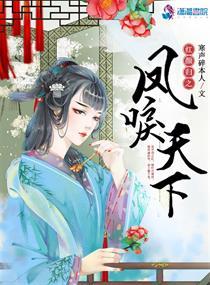 风林婉的红颜天下