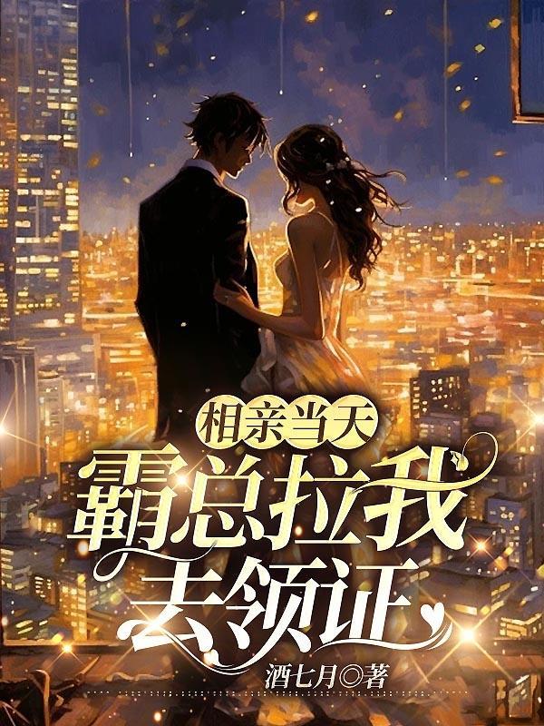 相亲第一天领证的总裁
