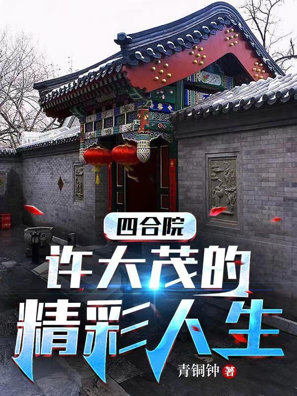 四合院之许大茂的精彩