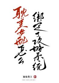 女配系统攻略男配
