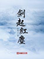 红尘剑甲
