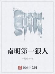 南明第一狠人TXT免费