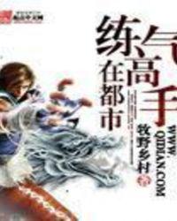 练气高手在都市顶点