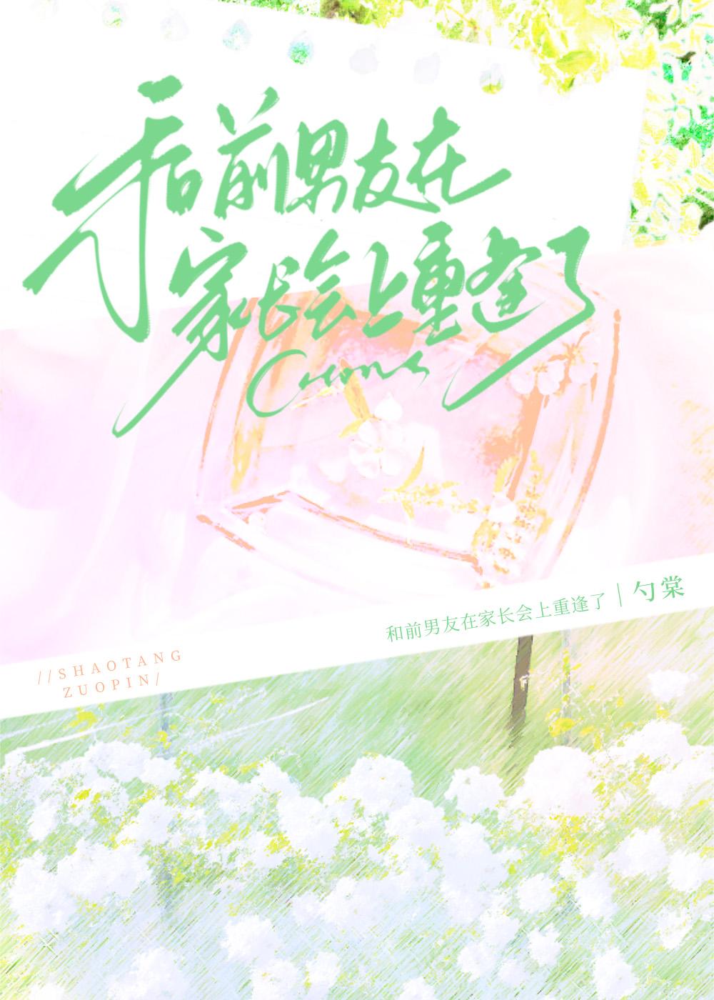 家长会上遇前任