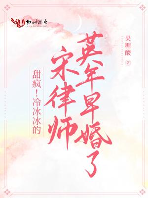 宋琳律师个人资料
