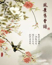 红楼之风景旧曾谙内容