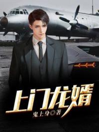 上门龙婿叶公子