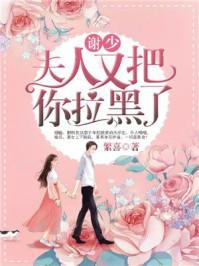夫人又把你拉黑了第210章